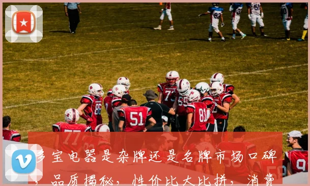 多宝电器是杂牌还是名牌市场口碑，品质揭秘，性价比大比拼，消费者必看