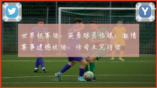 世界杯赛场，英勇球员伤退，激情赛事遗憾收场，传奇未完待续