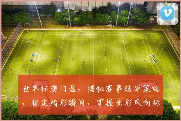 世界杯澳门盘，揭秘赛事赔率策略，锁定精彩瞬间，掌握竞彩风向标，必看攻略