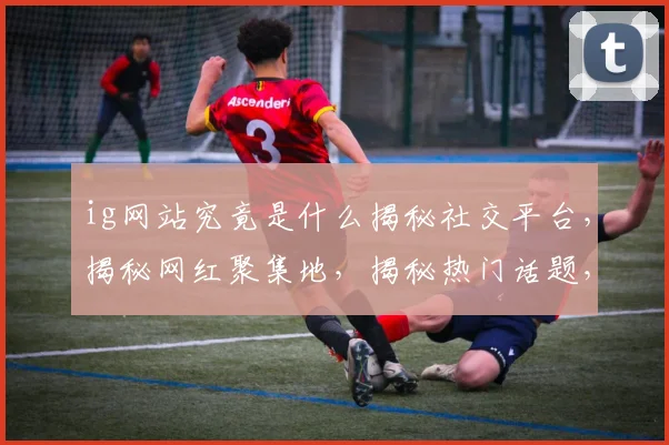 ig网站究竟是什么揭秘社交平台，揭秘网红聚集地，揭秘热门话题，揭秘互动新体验。