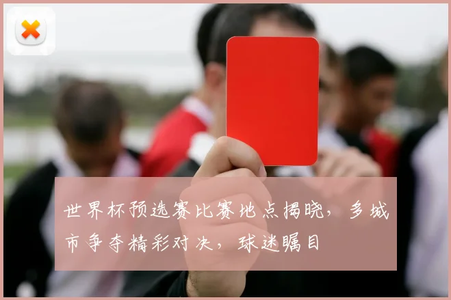 世界杯预选赛比赛地点揭晓，多城市争夺精彩对决，球迷瞩目