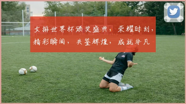 女排世界杯颁奖盛典，荣耀时刻，精彩瞬间，共鉴辉煌，成就非凡
